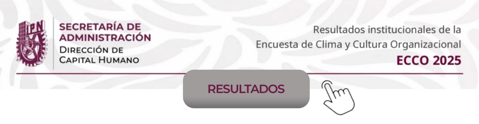 RESULTADOS ECCO 2025 - CIIDIR Michoacán