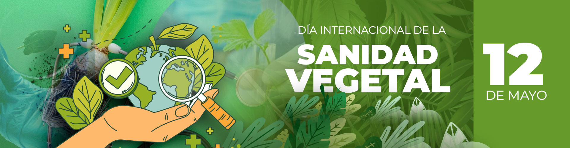 Día Internacional de la Sanidad Vegetal